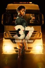 37 - The Shadow and the Prey (2024)
